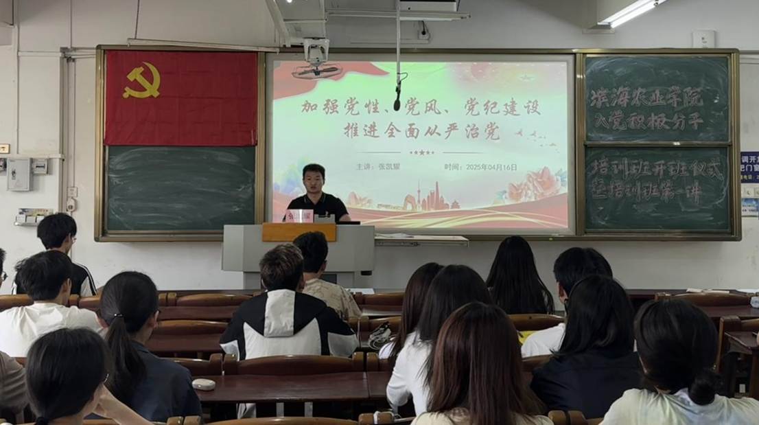 张凯耀老师